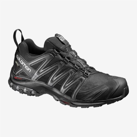 Salomon XA PRO 3D GTX Mens Trail Running Shoes Black | Salomon South Africa